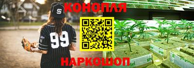 ПСИЛОЦИБИНОВЫЕ ГРИБЫ Донской
