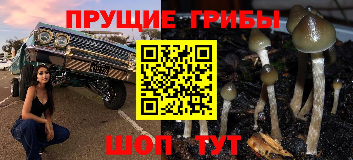 Королёв  Галлюциногенные грибы мухоморы  Вход с VPN  Псилоцибиновые грибы MAGIC MUSHROOMS 